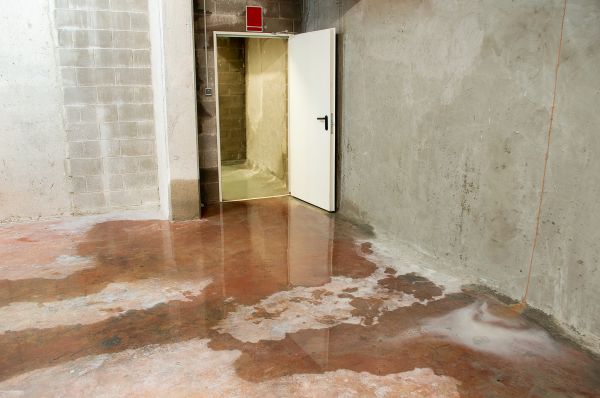 Cost of Wet Basement Repair in Lafayette